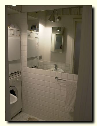 capolecase_bathroom2